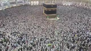 Hajj Tawaf 2019  Labbaik Allahumma Labbaik  Talash Peace [upl. by Bodkin]