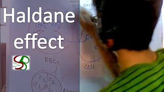 Haldane effect [upl. by Ewold524]