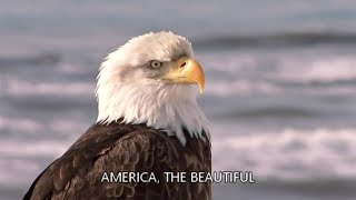 AMERICA THE BEAUTIFUL with lyrics [upl. by Aiotal]