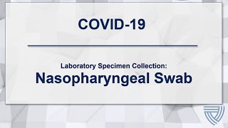 Adult Nasopharyngeal Swab for COVID19 [upl. by Seroka165]