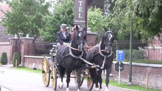 Historische Koetsentocht in Maaseik [upl. by Berkie]