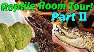 2018 REPTILE ROOM TOUR Part 2 [upl. by Rosenblatt]