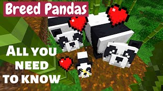 How to Breed Pandas in Minecraft and Get all Varieties [upl. by Ahterahs]