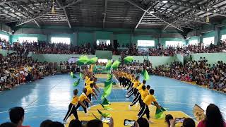 MCS Flag Demo 1st Place [upl. by Aihsinat]