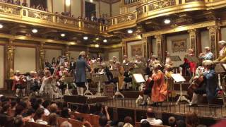 Mozart Orchestra Vienna Opera [upl. by Yhcir]