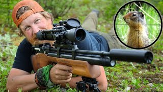 Air Rifle Hunting Ground Squirrels Catch amp Cook Day 12 of 30 Day Survival Challenge Canadian Rockies [upl. by Serg]