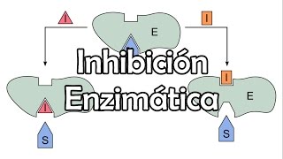 Inhibición Enzimática [upl. by Aenal]