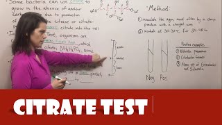 Citrate Test [upl. by Brower]