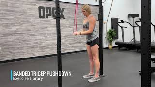 Banded Tricep Pushdown [upl. by Leventis697]