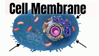 Cell membraneStructure and Function [upl. by Kondon]