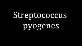 How to pronounce Streptococcus pyogenes [upl. by Acherman]