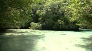 Palau Tour Micronesia by Asiatravelcom [upl. by Chicoine]