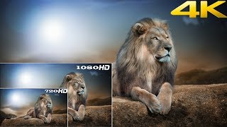 What is the difference between Full HD and HD Ready [upl. by Atahs]