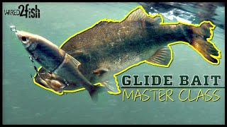 Glide Bait Bass Fishing 🐟  Everything You Need to Know ‼️ [upl. by Nyrok]