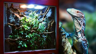 How I made a Huge Reptile Vivarium – Full Build [upl. by Ietta]