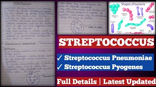 Streptococcus  streptococcus Pyogenes  streptococcus pneumoniae [upl. by Guthrey]