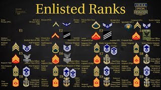 US Military All Branches ENLISTED Ranks Explained [upl. by Iadrahc]