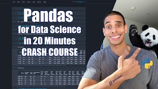 Pandas for Data Science in 20 Minutes  Python Crash Course [upl. by Romy870]