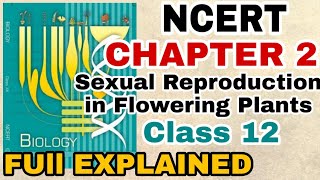 NCERT Ch2 Sexual Reproduction in Flowering plants class 12 Biology Full Explanation For BOARDSNEET [upl. by Codding]