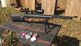 Benjamin Maximus 22 Cal Air Rifle Test Review [upl. by Ylus105]