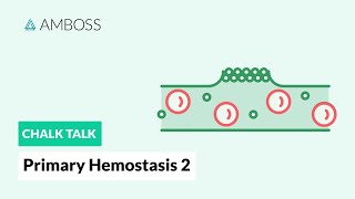 Primary Hemostasis  Part 2 Platelet Activation [upl. by Wobniar]