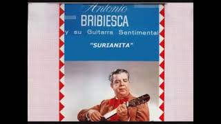 ANTONIO BRIBIESCA Y SU GUITARRA INSTRUMENTAL 8 TEMAS PEGADITOS [upl. by Novej]