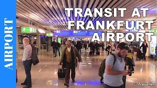 TRANSIT WALK AT FRANKFURT Airport FRA Terminal 1  Connection Flight Transfer Arriving amp Departing [upl. by Atilehs207]