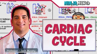 Cardiovascular  Cardiac Cycle [upl. by Ennairoc]