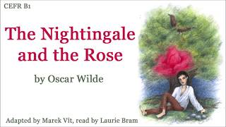 The Nightingale and the Rose by Oscar Wilde audiobook simple English [upl. by Ruthven857]