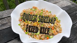 Quick Shrimp Fried Rice on the Blackstone Griddle [upl. by Anivlek372]