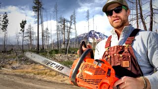 Echo Chainsaw CS352 can it handle the job [upl. by Garold]