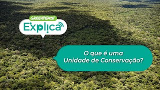 O que é uma Unidade de Conservação  Greenpeace Explica [upl. by Irrak]