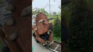 NAIK KERETA DINOSAURUS TRICERATOP BARENG ADEK KAKA [upl. by Sirahs704]